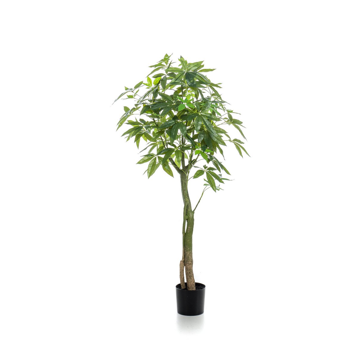 Künstliche Pflanze - Pachira aquatica - Geldboom - 150 cm