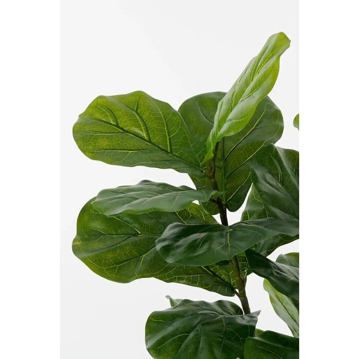 Ficus lyrata Künstliche Pflanze im Topf - H150 x Ø50 cm - Grün - HomeDesign Knaus