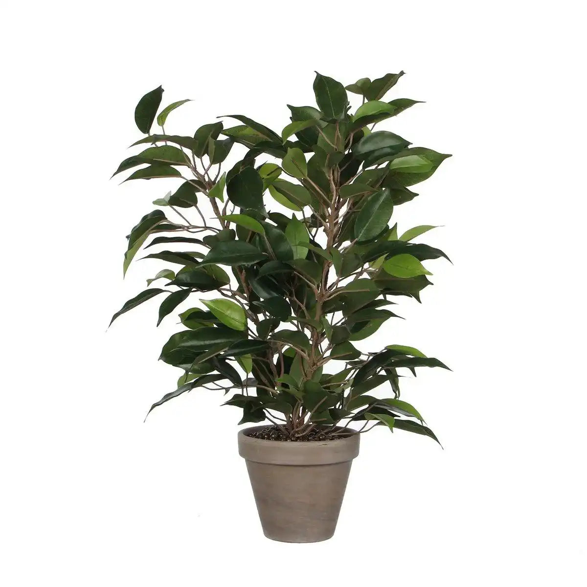 Ficus Natasja Künstliche Pflanze im Stan-Blumentopf – H40 x Ø30 cm – Grün - HomeDesign Knaus