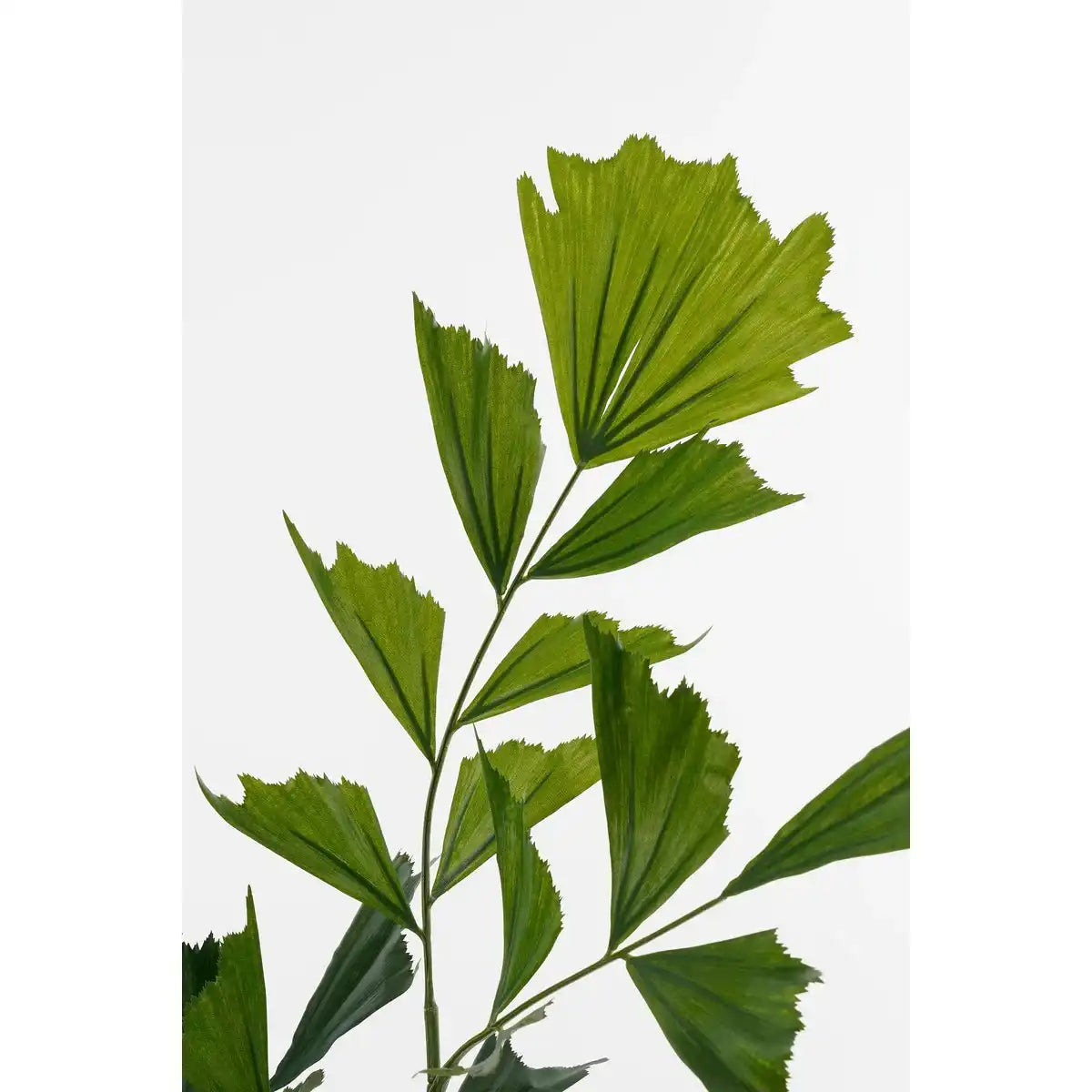 Fischschwanzpalmenkunstpflanze im Topf - H150 x Ø100 cm - grün - HomeDesign Knaus