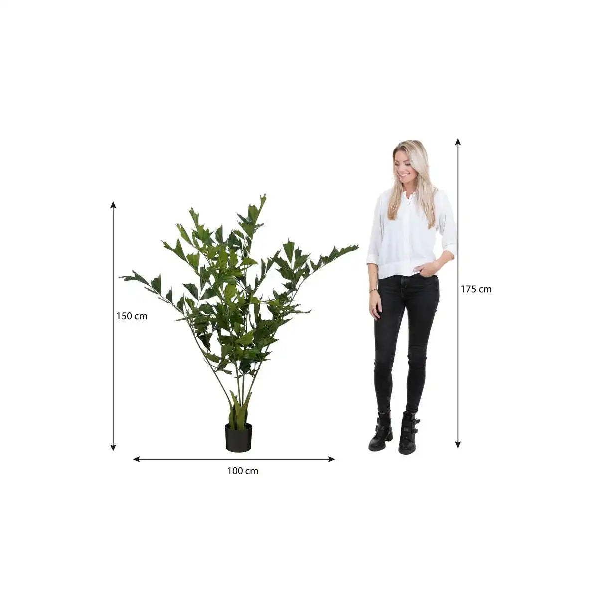 Fischschwanzpalmenkunstpflanze im Topf - H150 x Ø100 cm - grün - HomeDesign Knaus