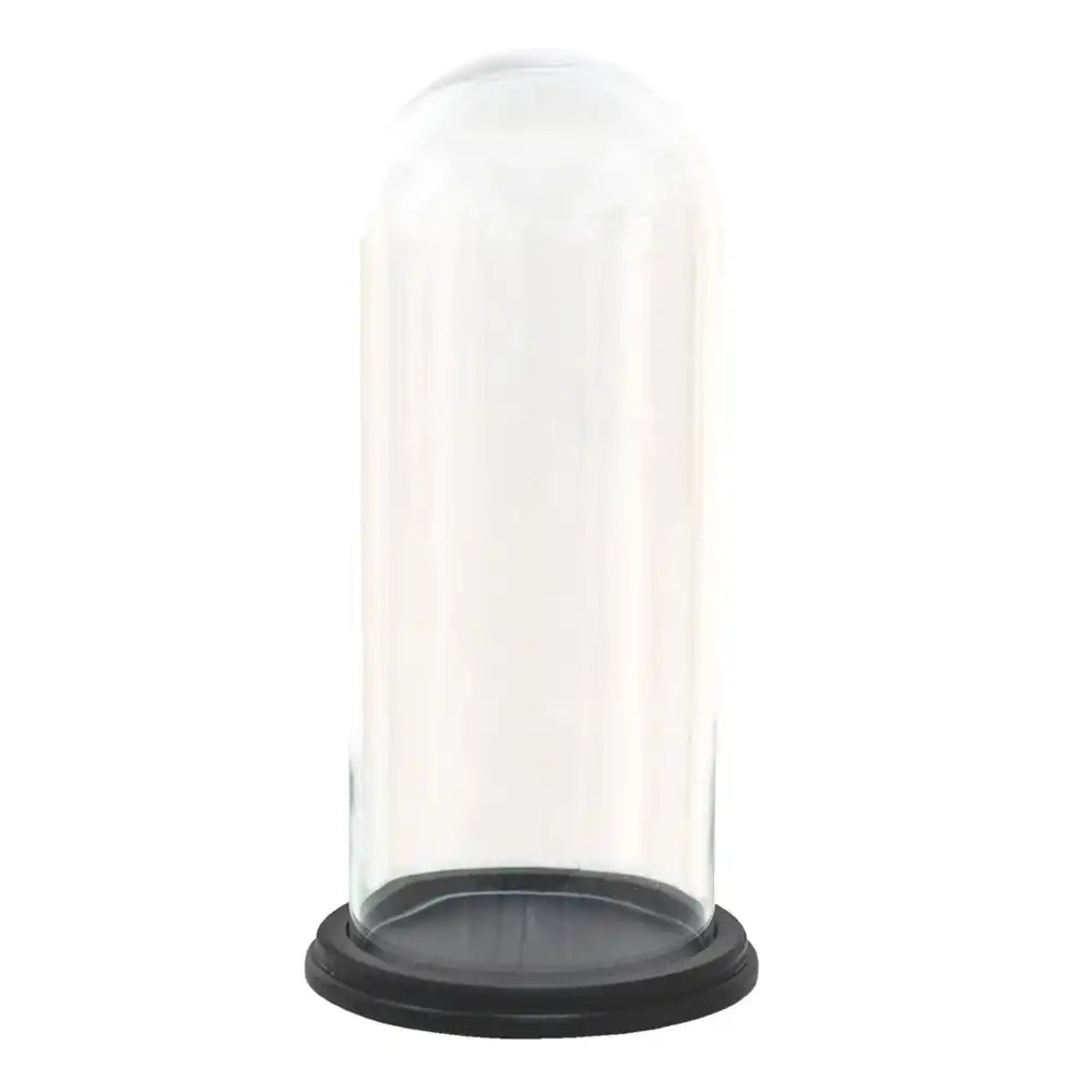 Glasglocke Transparent – 17 × 25 cm - HomeDesign Knaus