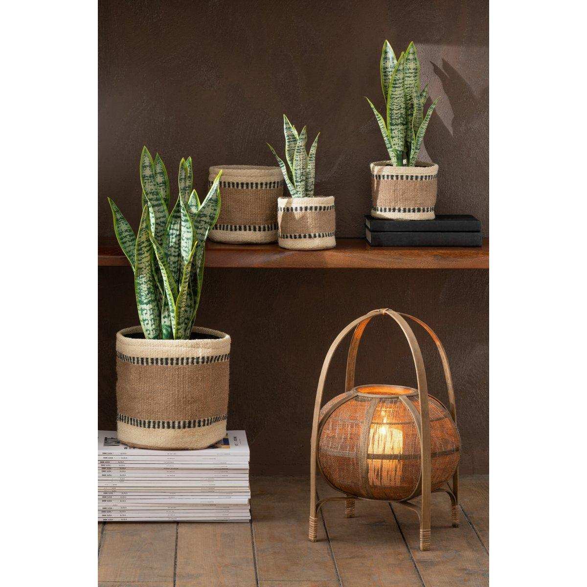 - - HomeDesign Knaus