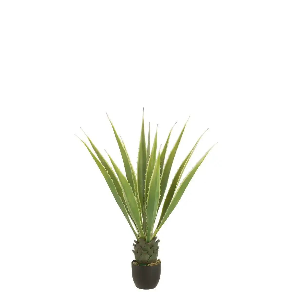 J-Line Agave Off White Künstliches Grün - HomeDesign Knaus
