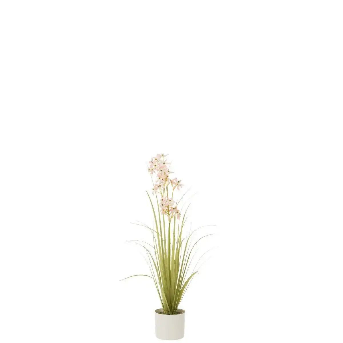 J-Line Allium im Topf, Kunststoff, Grün/Hellrosa, klein - HomeDesign Knaus