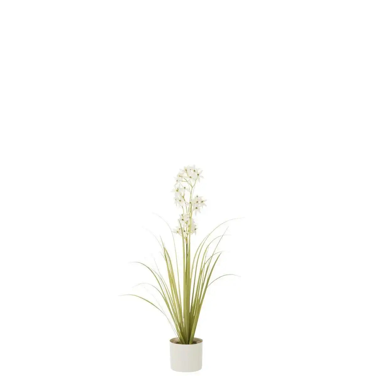 J-Line Allium im Topf, Kunststoff, grün/weiß, klein - HomeDesign Knaus