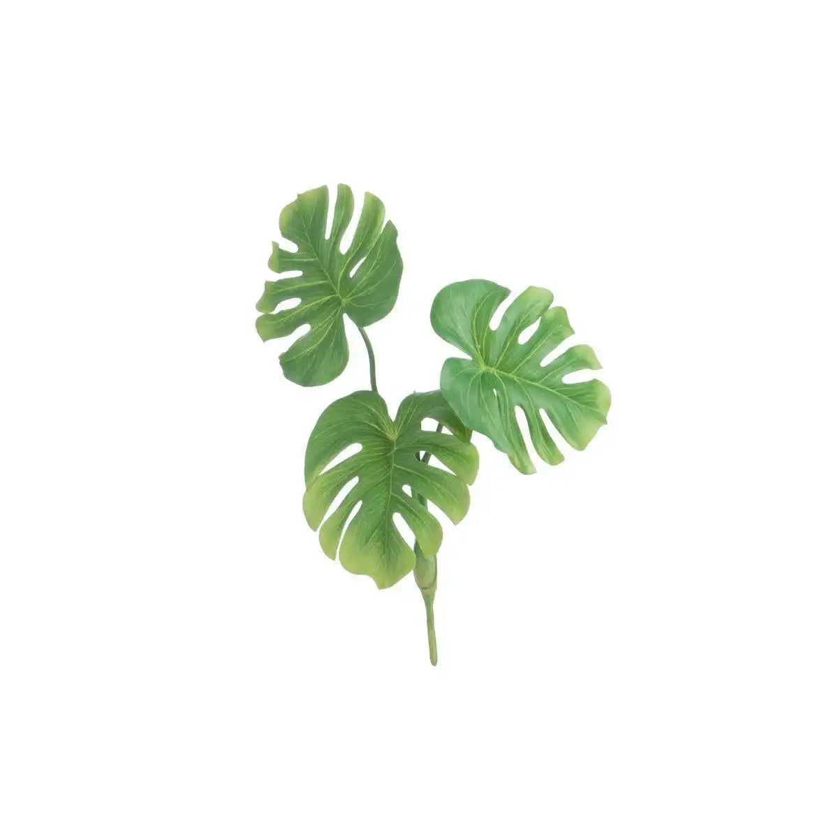J-Line Blad Philo 3 Delig Plastiek Green Small - HomeDesign Knaus