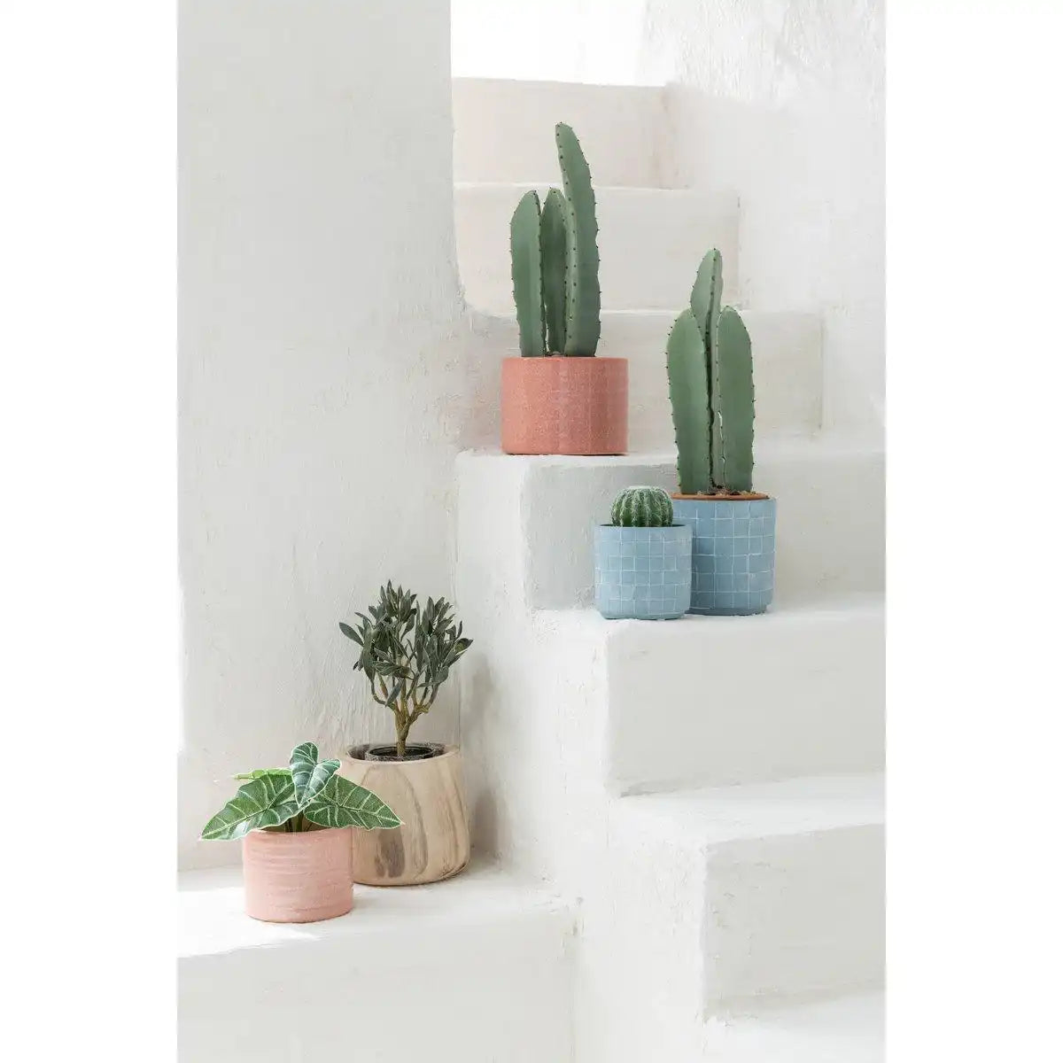 J-Line Blumentopf, schlicht, rund, Keramik, Grapefruit, groß - HomeDesign Knaus