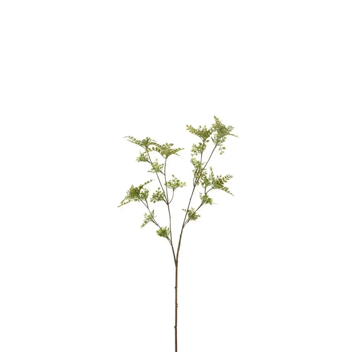 J-Line Branch Fine Leaves Kunststoff Grün - HomeDesign Knaus
