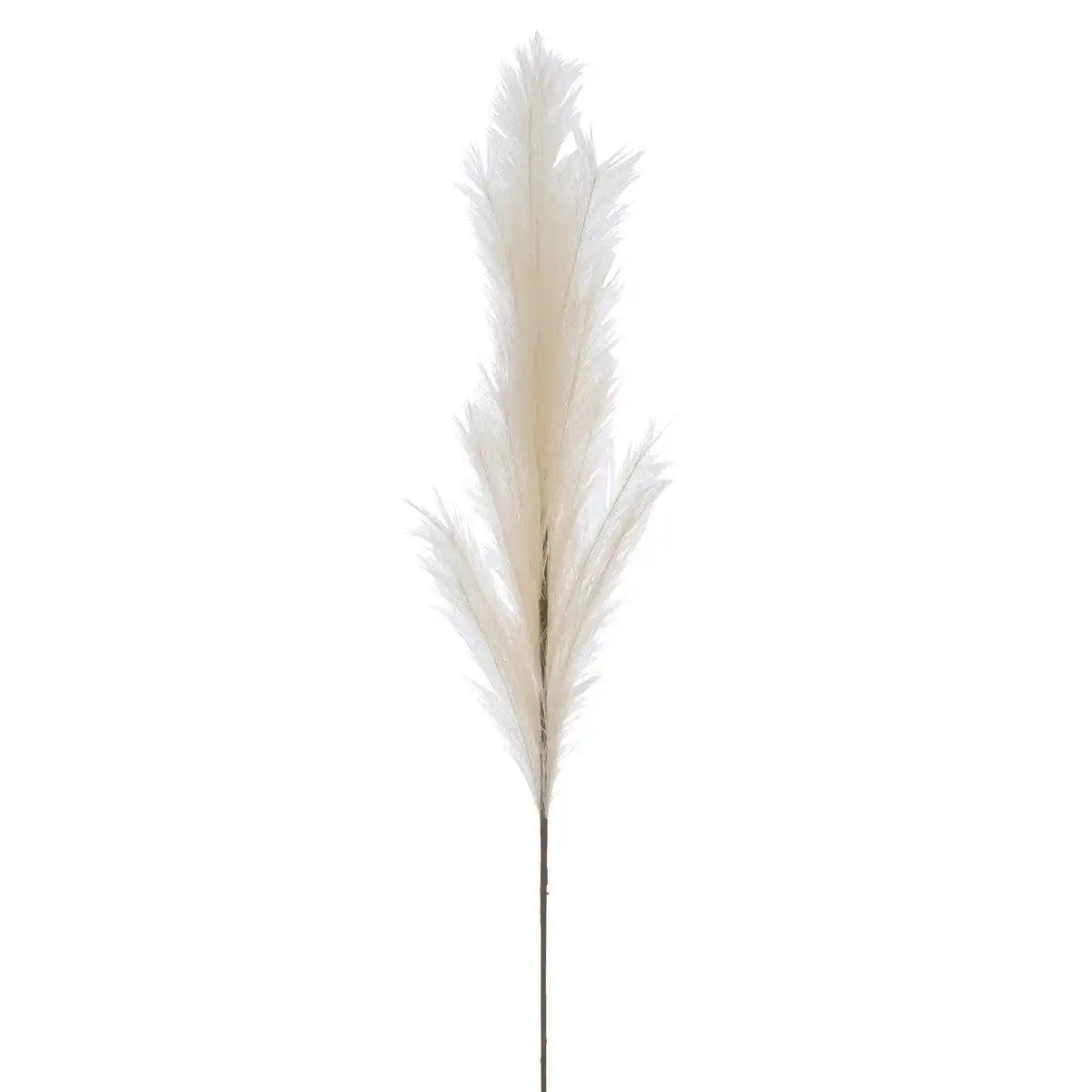 J-Line Branch Staubwedel, Kunststoff, Beige, groß - HomeDesign Knaus