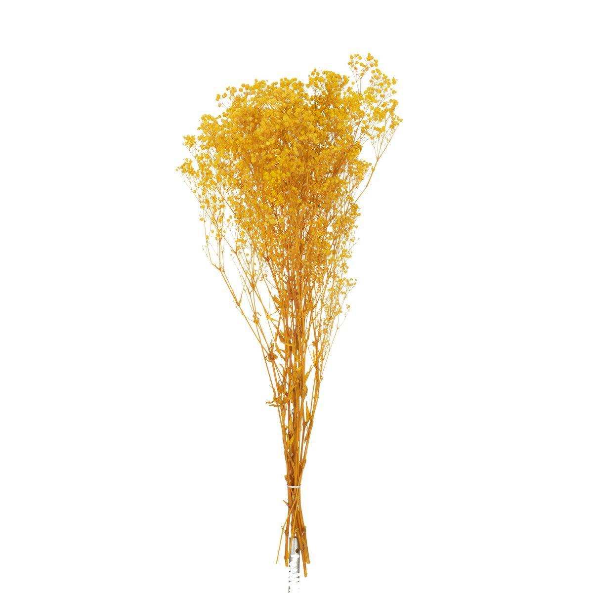 J-Line Bundel Gedroogde Gypsophilia Gelb - HomeDesign Knaus