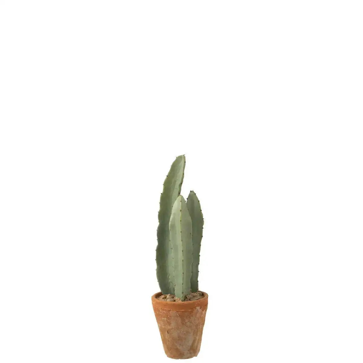J-Line Cactus 3 Stuks In Pot Plastiek Green Small - HomeDesign Knaus