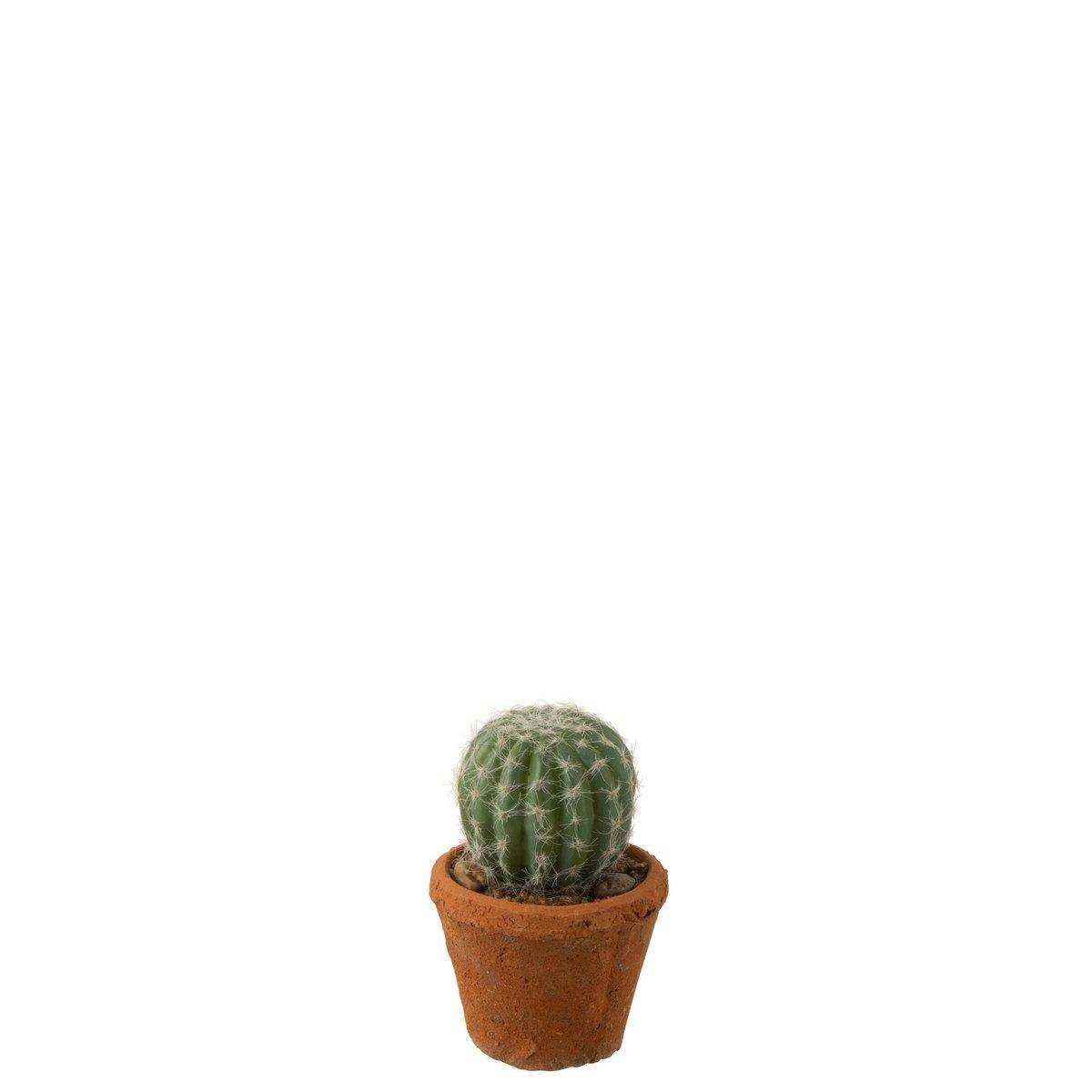 J-Line Cactus Rond In Pot Plastiek Green - HomeDesign Knaus