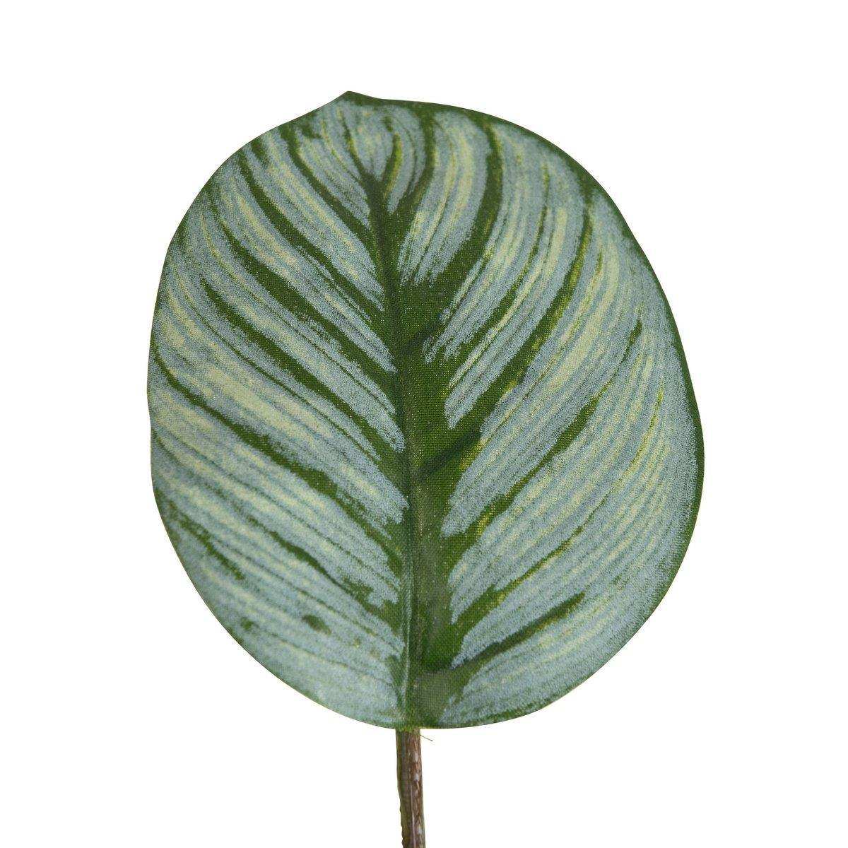 J-Line Calathea im Topf, Kunststoff, grüne Mischung - HomeDesign Knaus