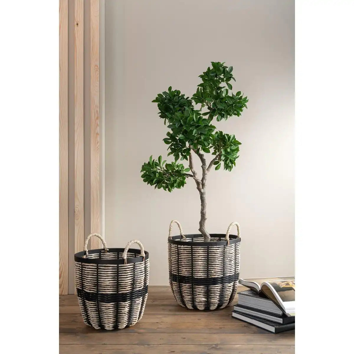 J-Line Chinesischer Feigen-Ficusbaum im Topf, Kunststoff, Grün/Schwarz, groß - HomeDesign Knaus