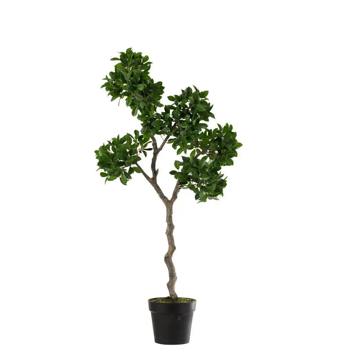 J-Line Chinesischer Feigen-Ficusbaum im Topf, Kunststoff, Grün/Schwarz, groß - HomeDesign Knaus