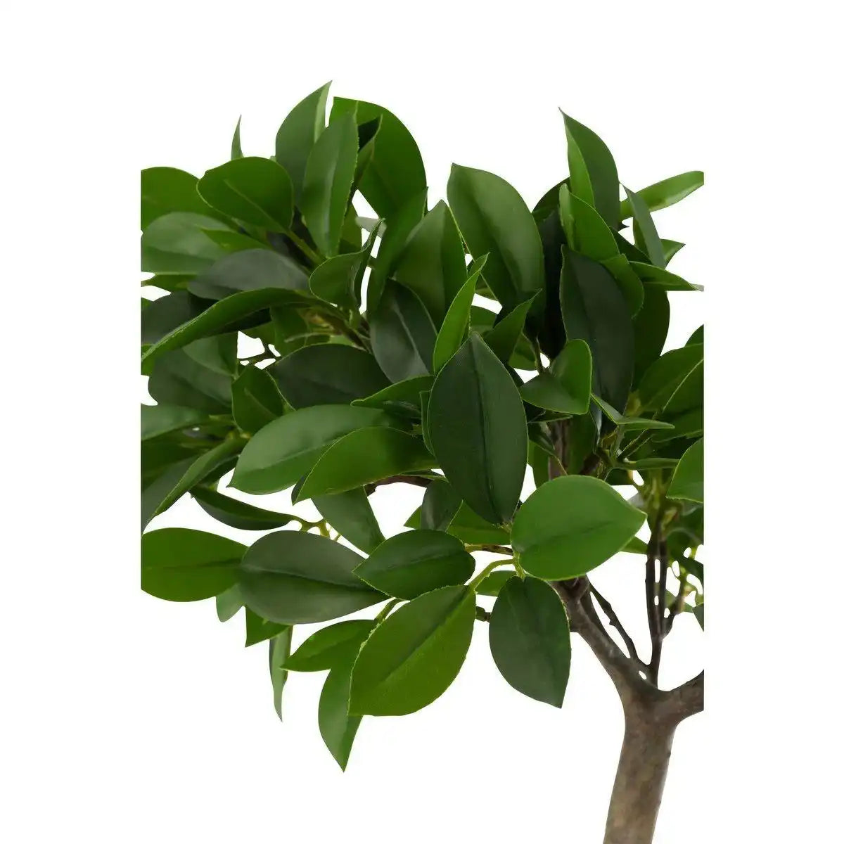 J-Line Chinesischer Feigen-Ficusbaum im Topf, Kunststoff, Grün/Schwarz, klein - HomeDesign Knaus