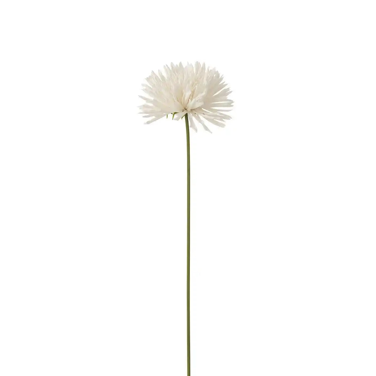 J-Line Chrysantheme Kunststoff Weiß Groß - HomeDesign Knaus