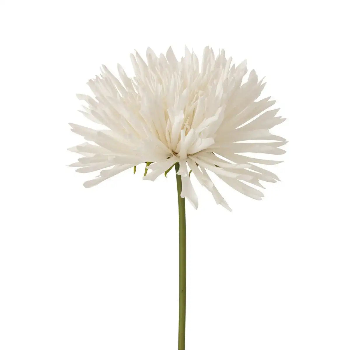 J-Line Chrysantheme Kunststoff Weiß Groß - HomeDesign Knaus