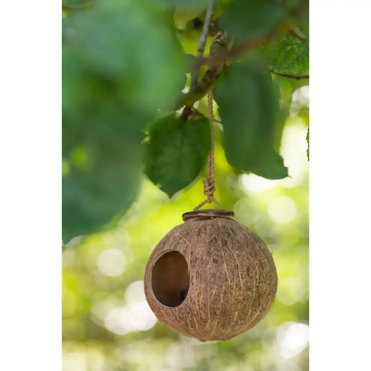 J-Line Coconut House Brown Natural Small - HomeDesign Knaus