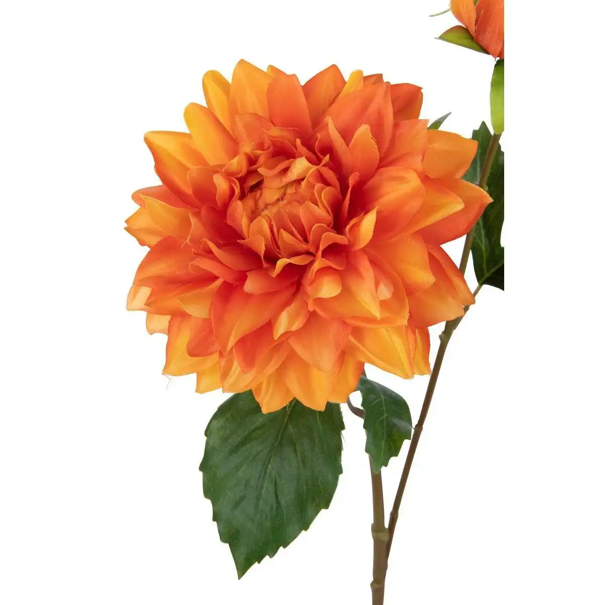 J-Line Dahlia Elise – Kunststoff – Orange - HomeDesign Knaus