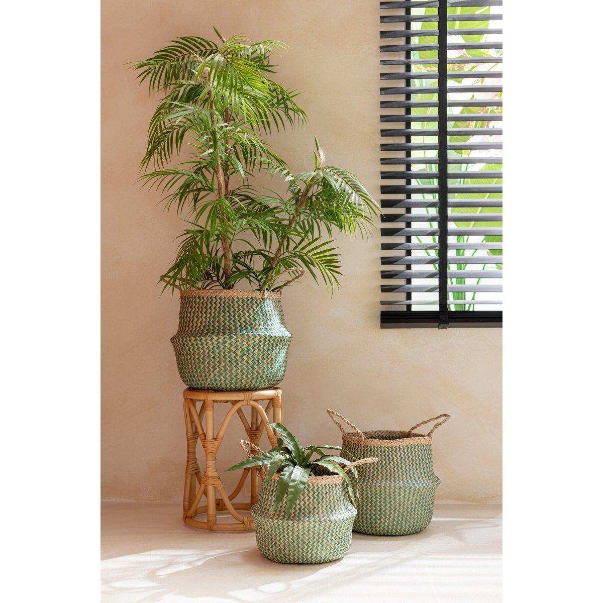 J-Line Damen-Zungenball Earth Plastic Green - HomeDesign Knaus