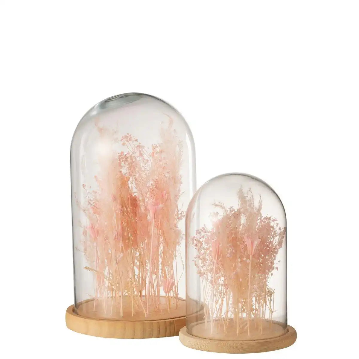 J-Line Deko-Glocke – Trockenblumen – Glas/Holz – hellrosa – groß - HomeDesign Knaus