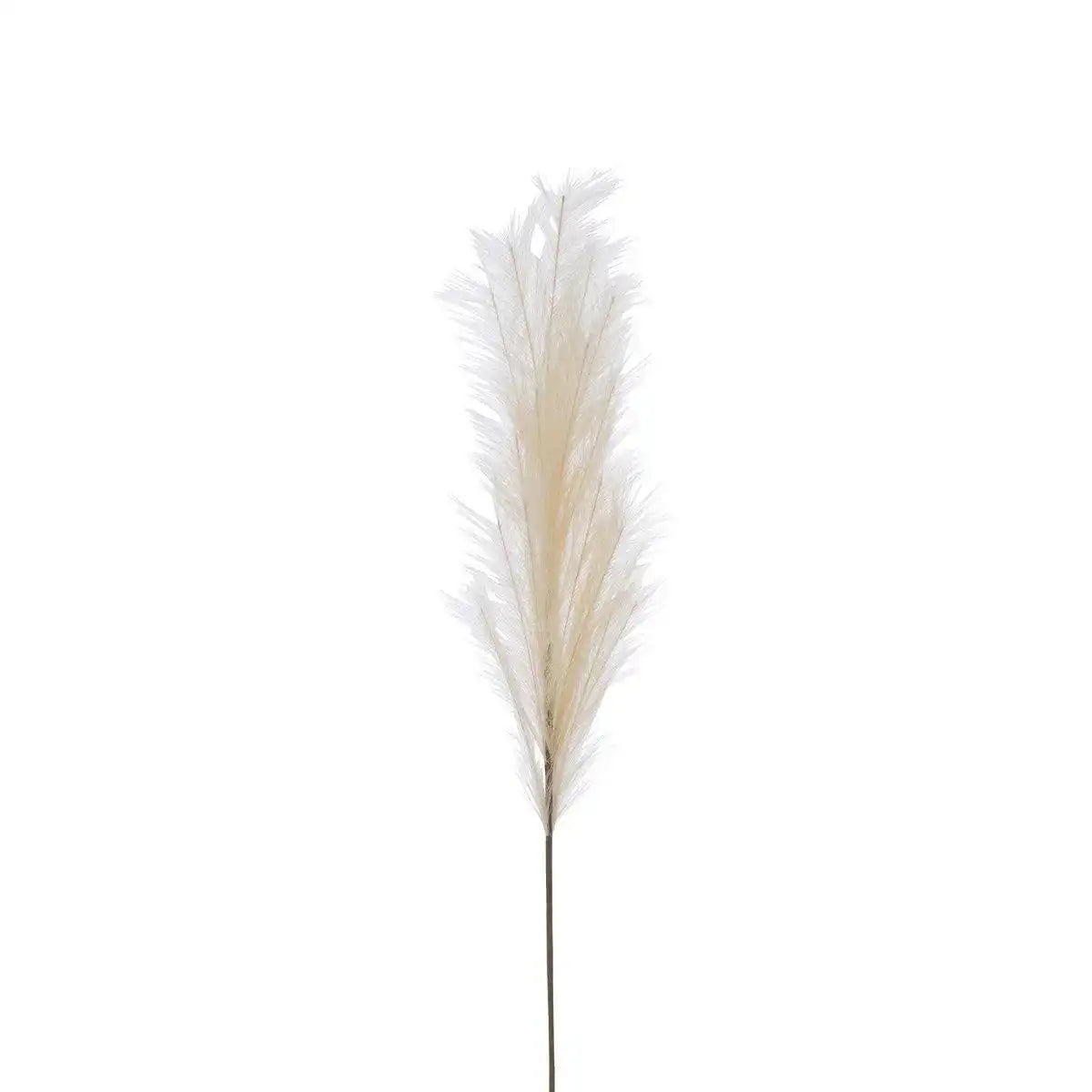 J-Line Dekoration Branch Staubwedel – Kunststoff – Beige – mittel - HomeDesign Knaus