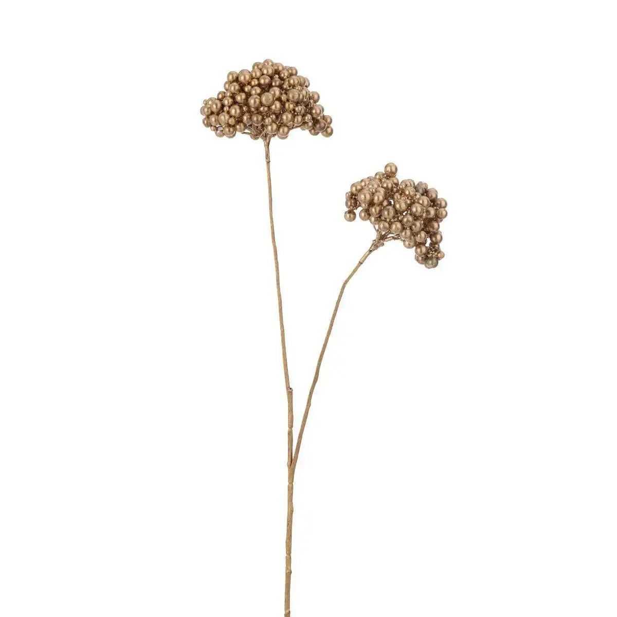 J-Line Dekoration Zweig 2 Blumen Beeren - Kunststoff - Gold - HomeDesign Knaus