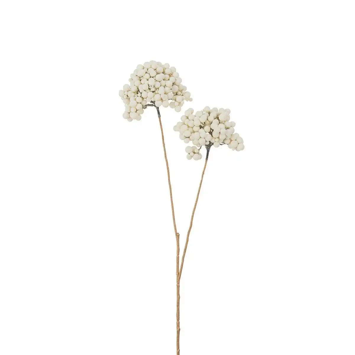 J-Line Dekoration Zweig 2 Blumen - Kunststoff - Creme/Gold - 12 Stück - HomeDesign Knaus