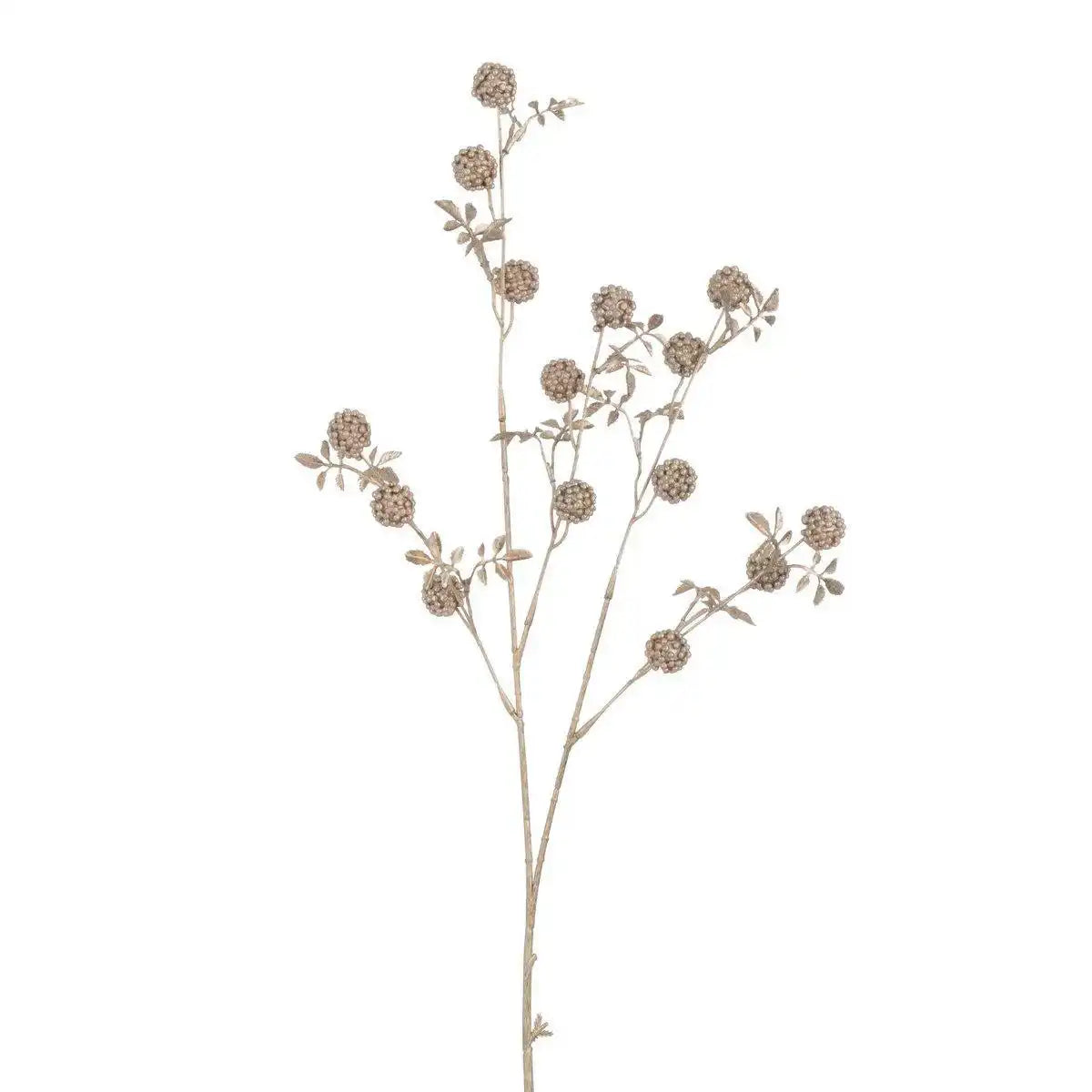 J-Line Dekoration Zweig Brombeeren – Kunststoff – Champagner - HomeDesign Knaus