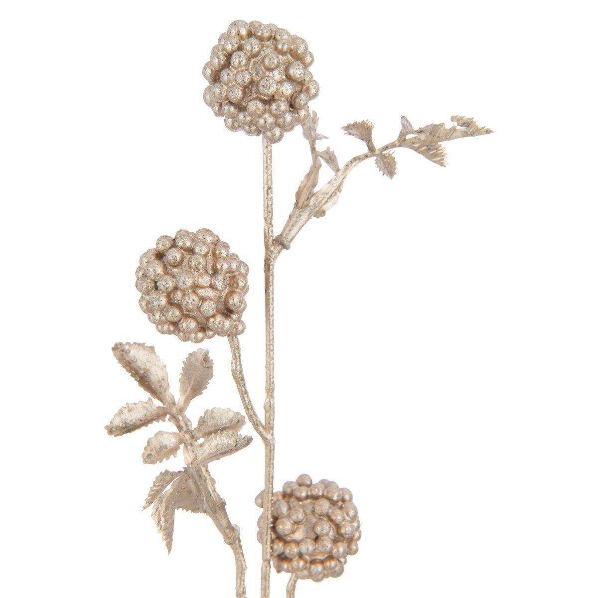 J-Line Dekoration Zweig Brombeeren – Kunststoff – Champagner - HomeDesign Knaus