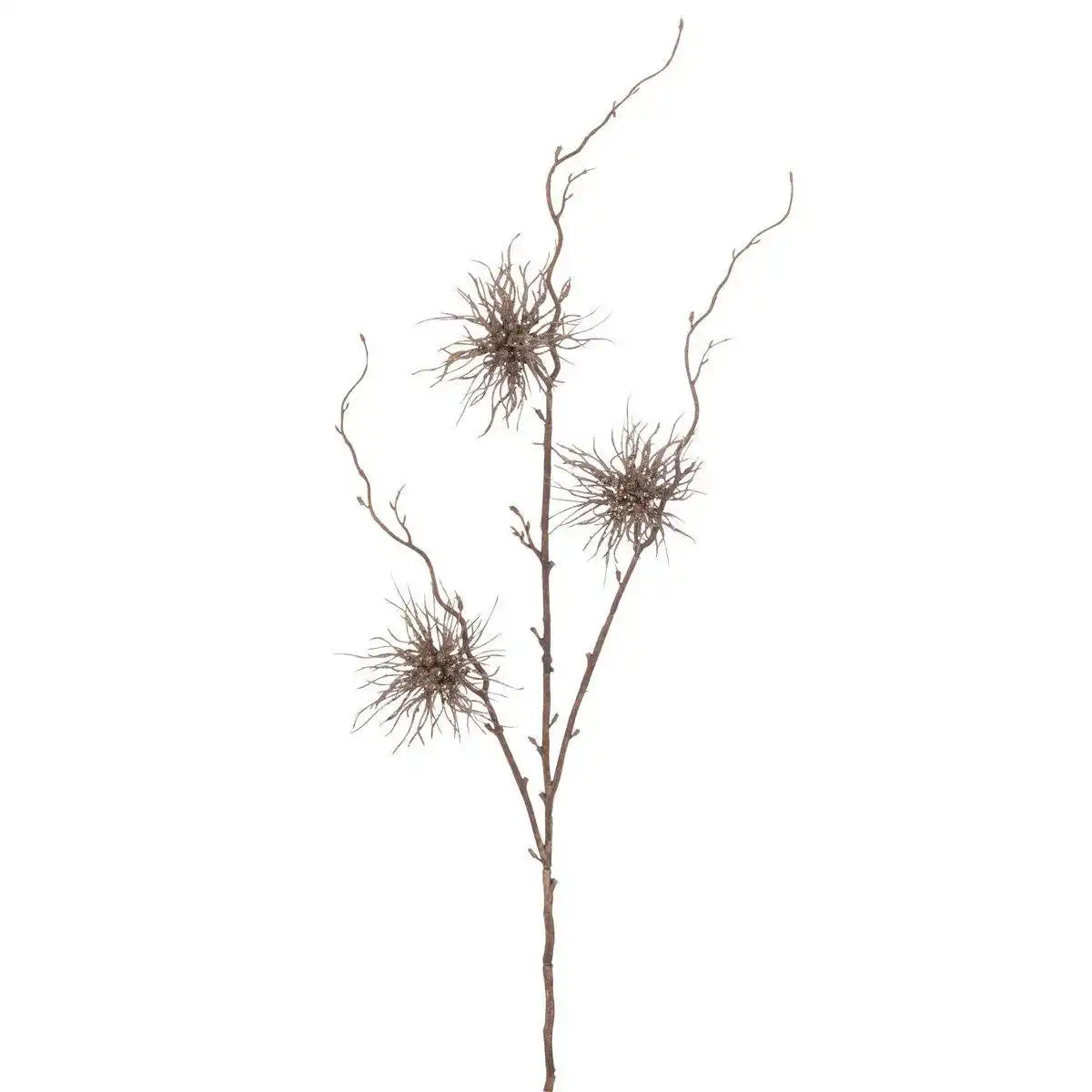 J-Line Dekorationszweig Seeigel 3 Blumen - Kunststoff - Braun - - HomeDesign Knaus