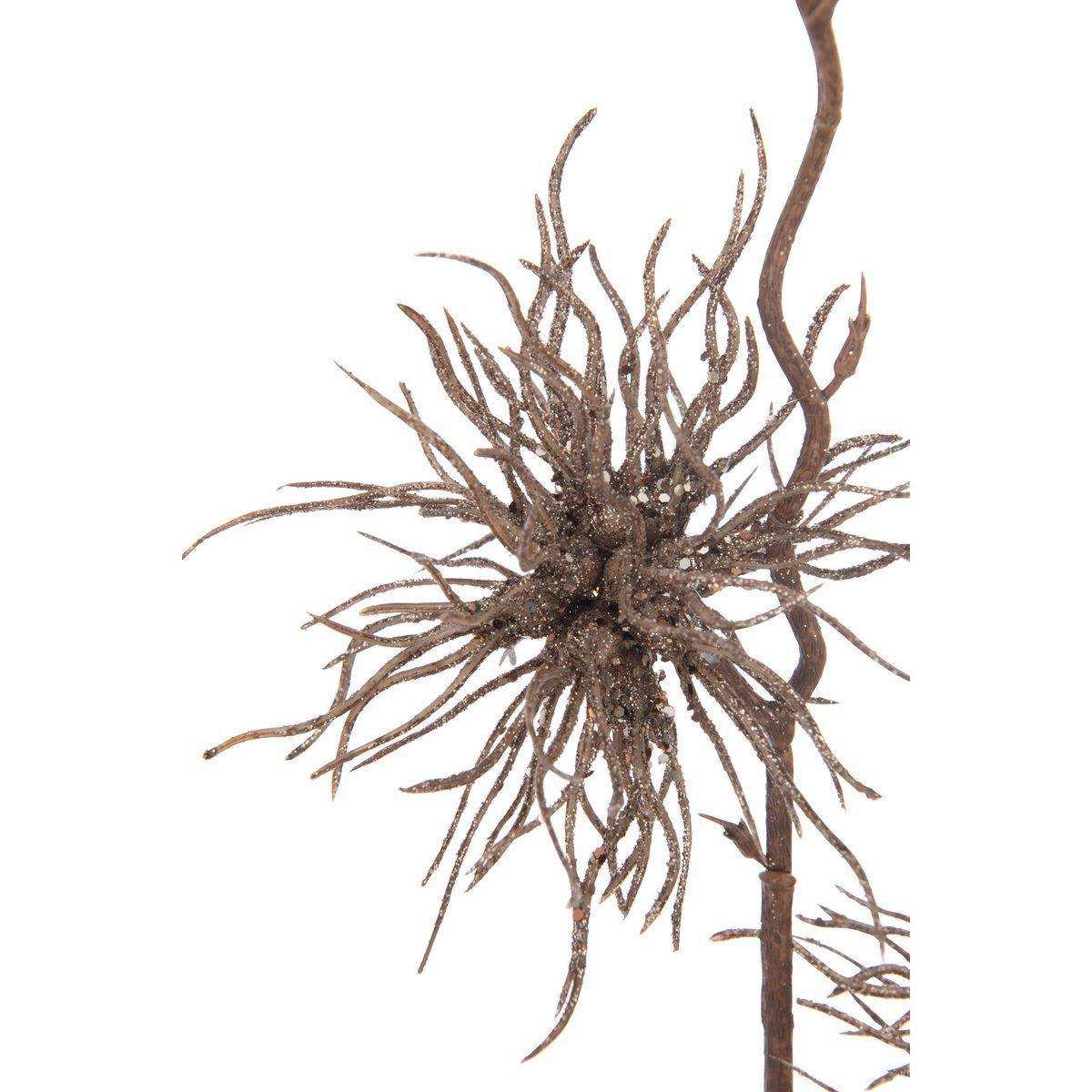 J-Line Dekorationszweig Seeigel 3 Blumen - Kunststoff - Braun - - HomeDesign Knaus