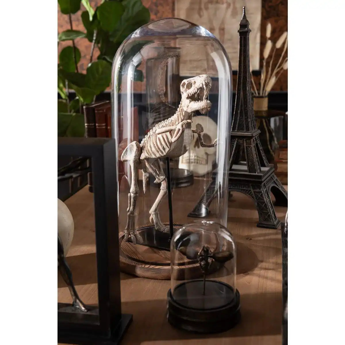 J-Line Dinosaurier T-Rex auf Fuß Poly Hellbraun - HomeDesign Knaus