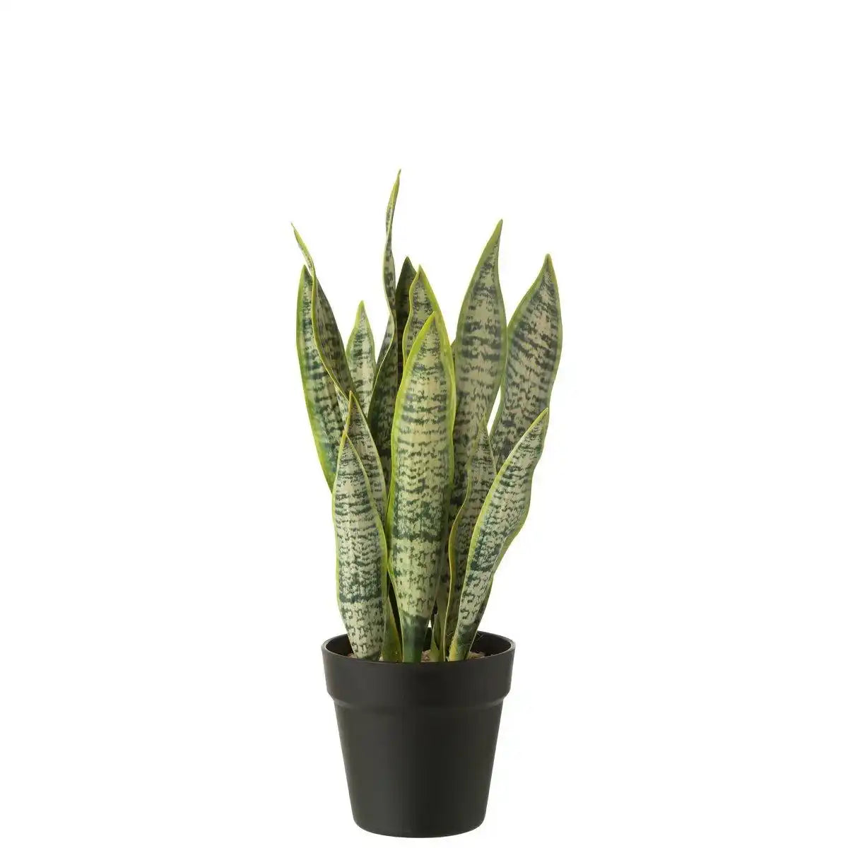 J-Line Dracaena trifasciata im Topf, künstliches grünes Medium - HomeDesign Knaus