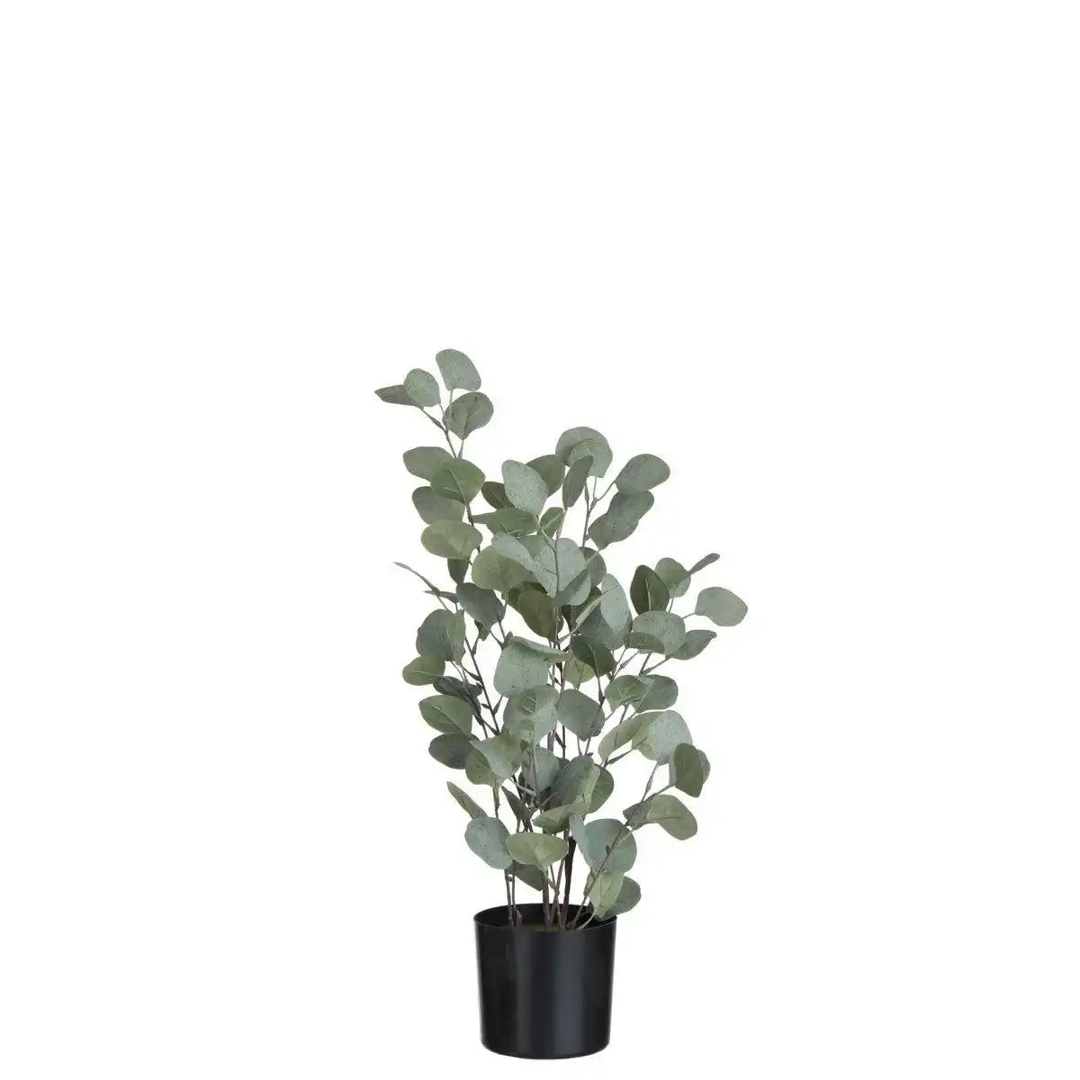 J-Line Eukalyptus im Topf Kunststoff grün groß - HomeDesign Knaus