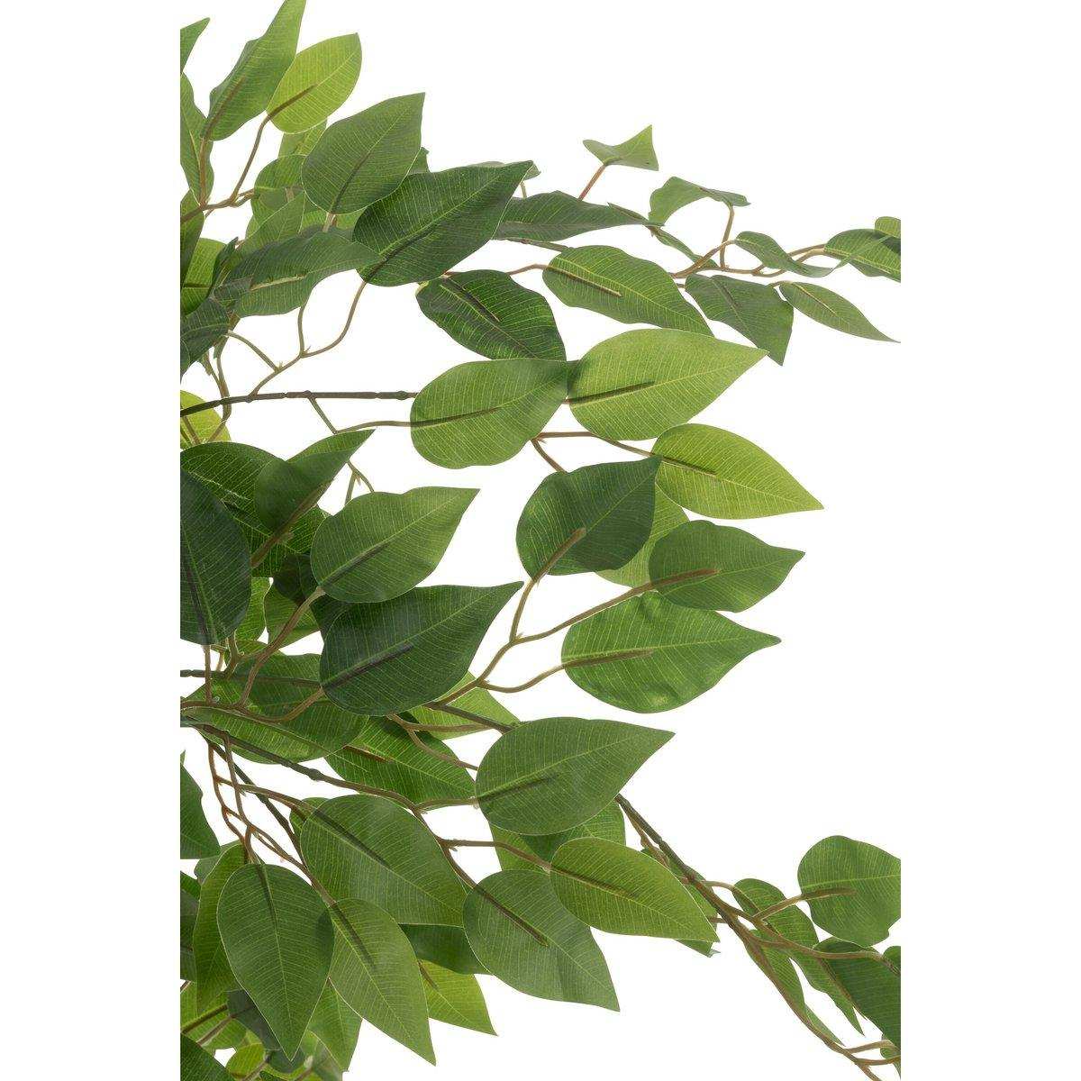 J-Line Ficus-Topf, künstlich, hellgrün - HomeDesign Knaus