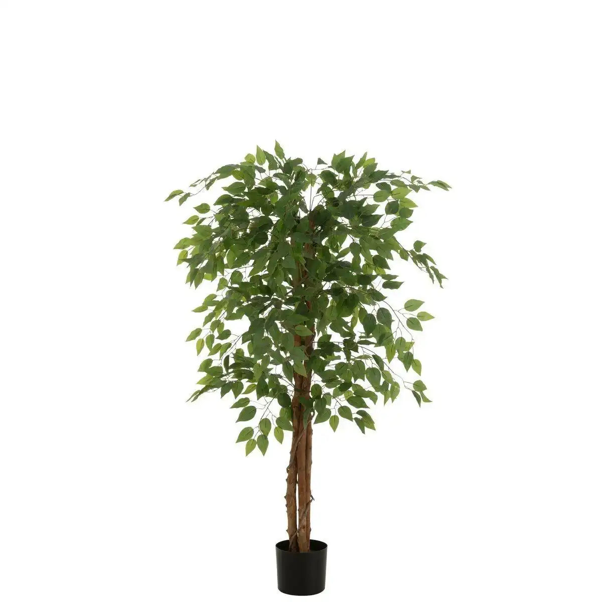 J-Line Ficus-Topf, künstlich, hellgrün - HomeDesign Knaus