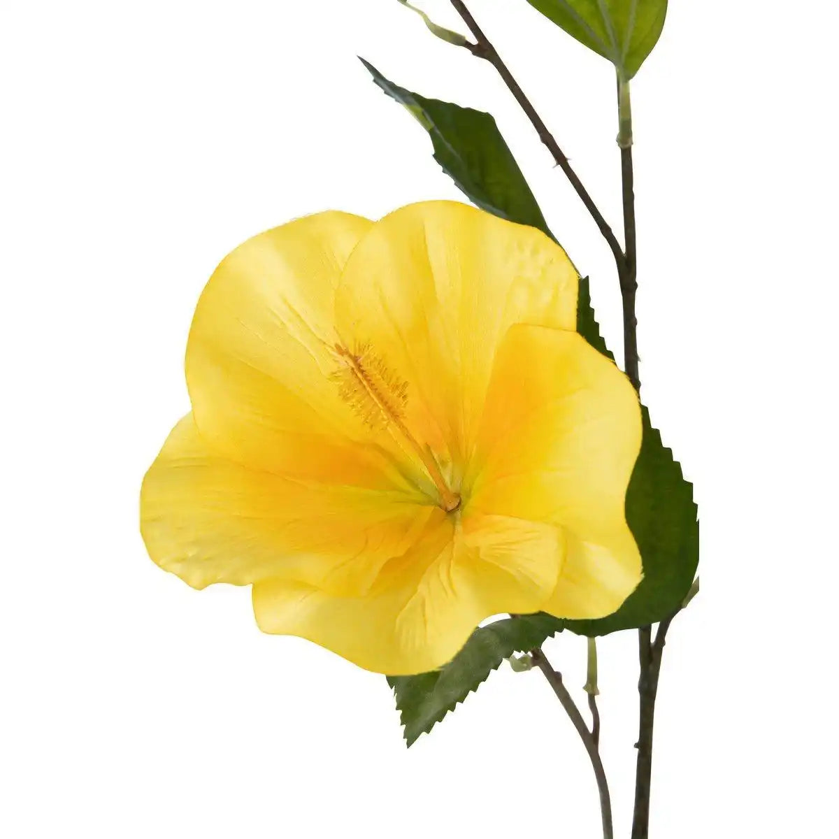 J-Line Flower Hibiscus Sprayer - Kunststoff - Gelb - HomeDesign Knaus