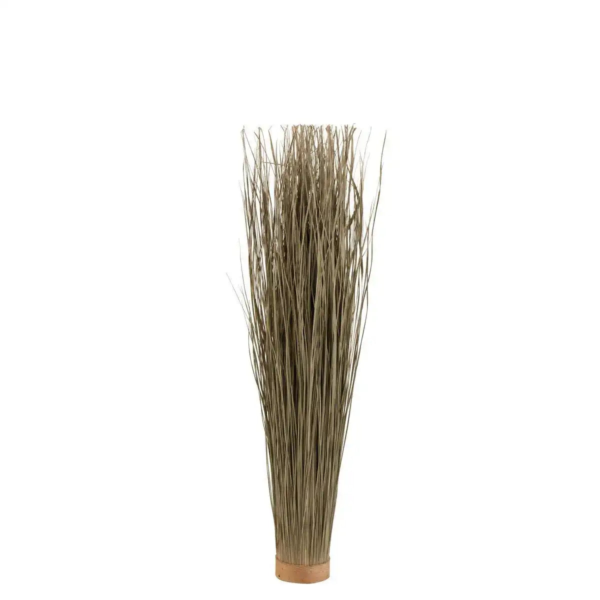 J-Line getrocknetes Gras – grün – klein - HomeDesign Knaus