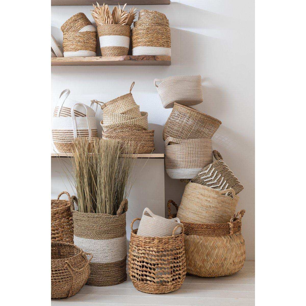 J-Line getrocknetes Gras – grün – klein - HomeDesign Knaus
