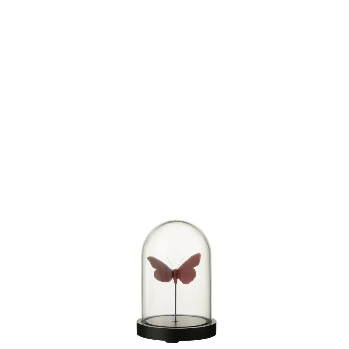 J-Line Glockenglas Schmetterlinge Glas Rot/Bordeaux Klein - HomeDesign Knaus
