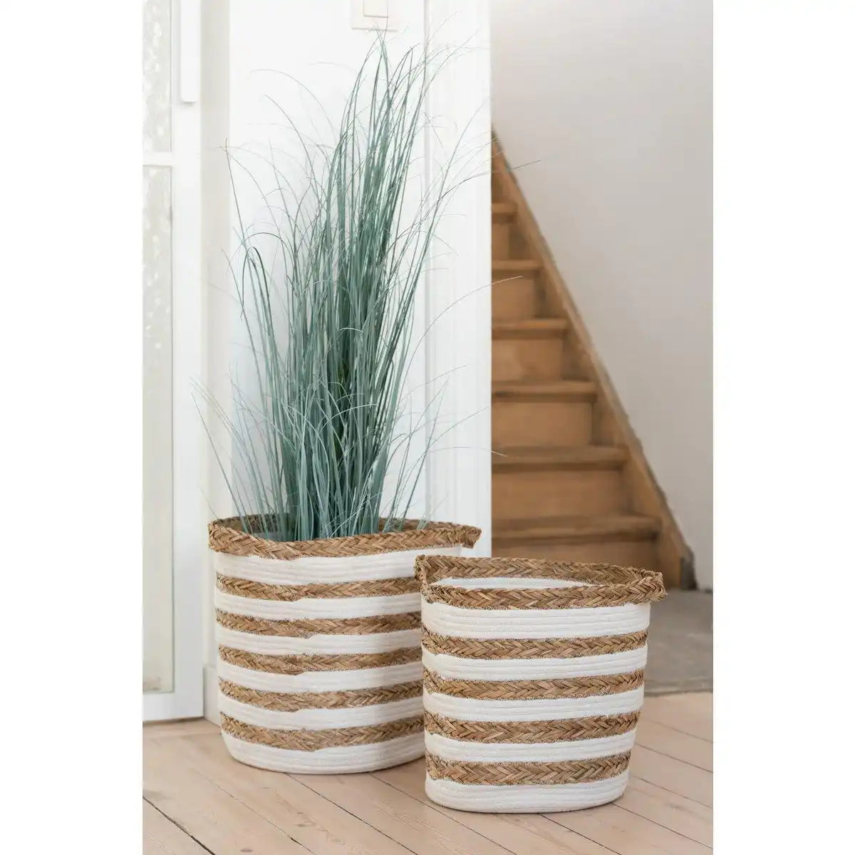 J-Line Gräser im Topf, Kunststoff, Blau/Grün, groß - HomeDesign Knaus