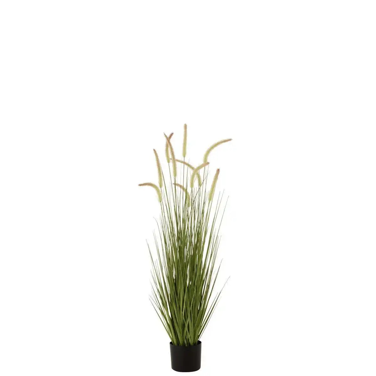 J-Line Gräser + Schwänze im Topf, Kunststoff, Grün, mittelgroß - HomeDesign Knaus