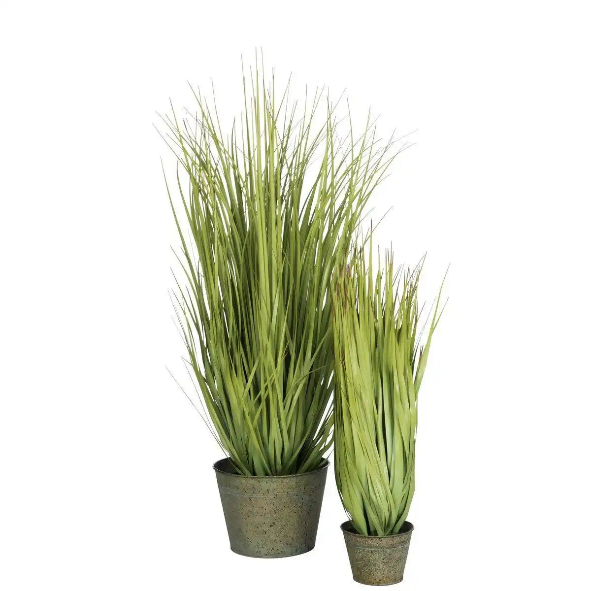 J-Line Gräser Wild im Topf, Metall, grün, Kunststoff, grün, groß - HomeDesign Knaus