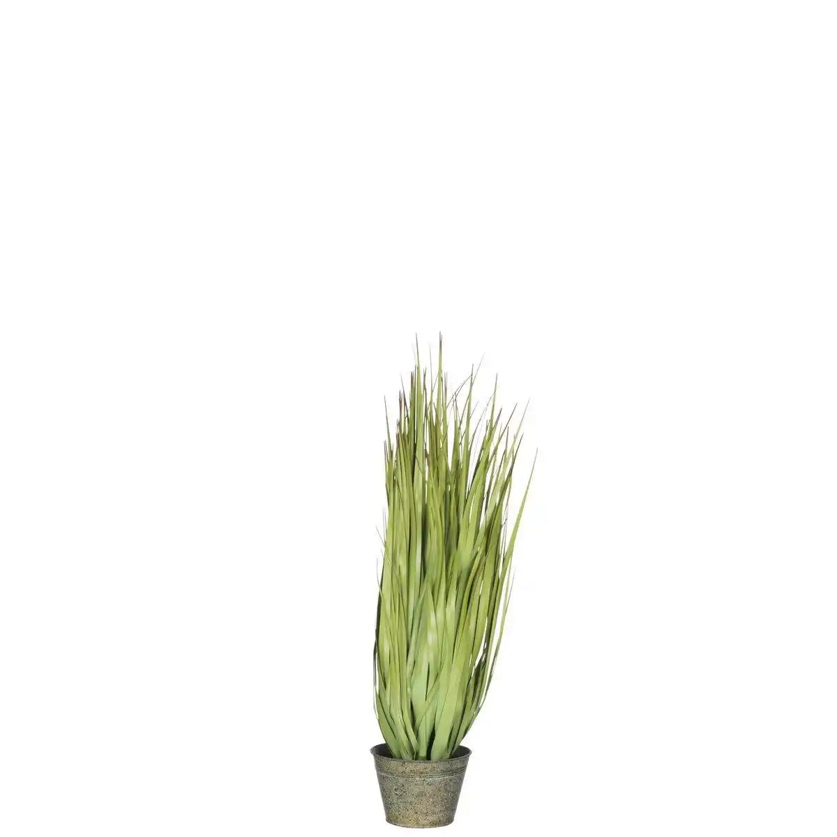 J-Line Gräser Wild im Topf, Metall, grün, Kunststoff, grün, klein - HomeDesign Knaus