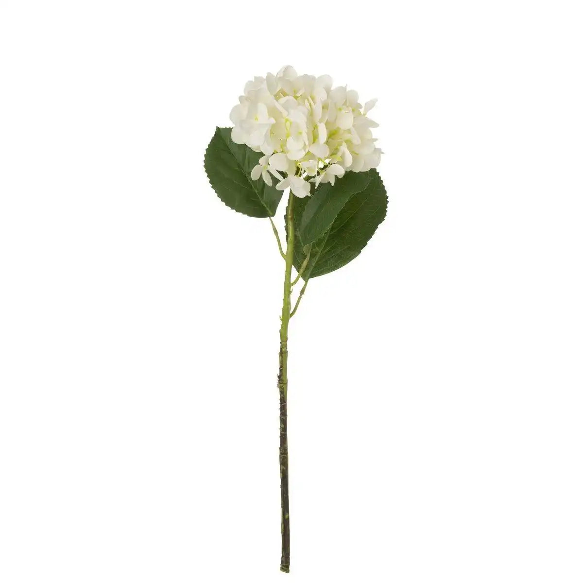J-Line Hortensie Textilweiß - HomeDesign Knaus
