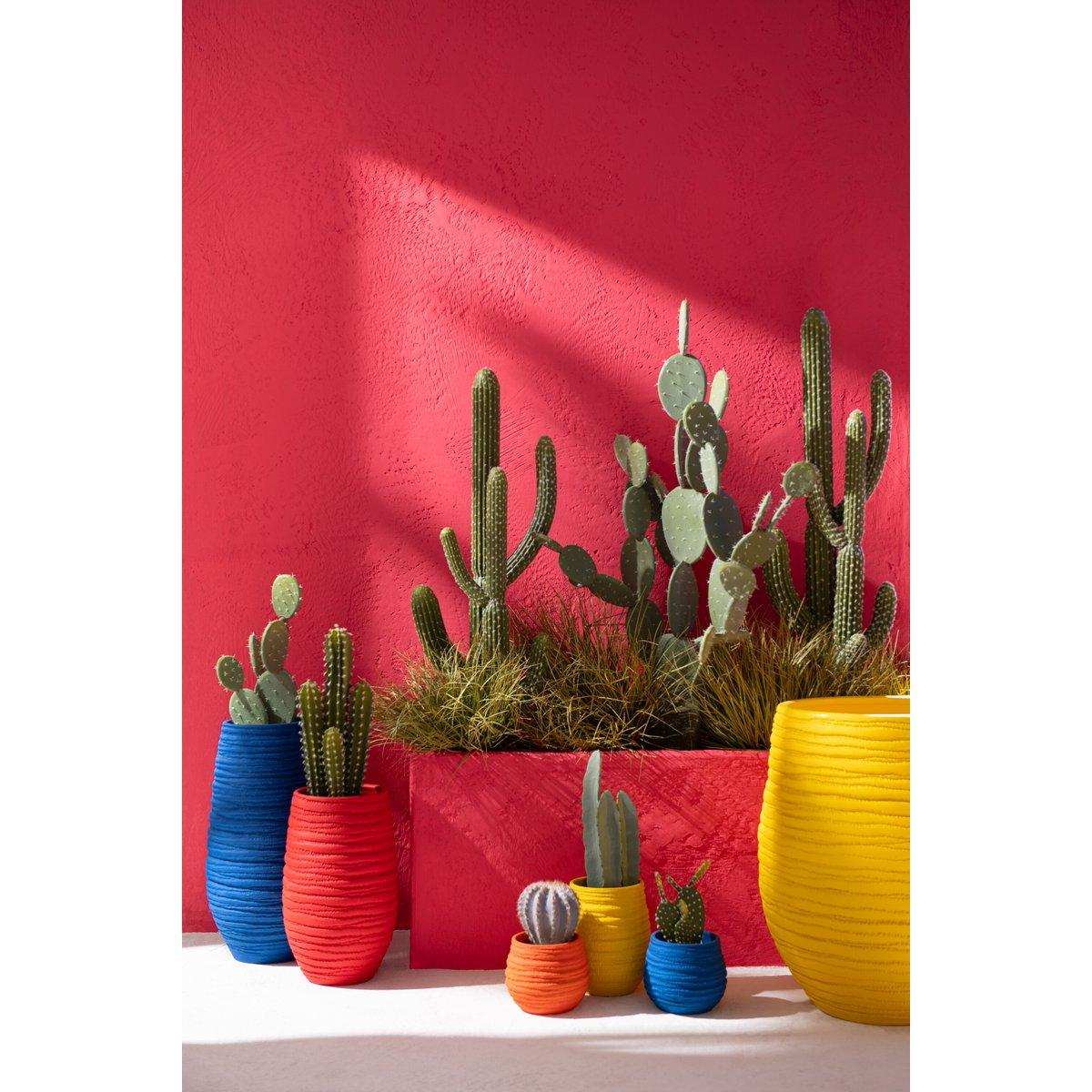 J-Line Kaktus+Topf, Kunststoff, Grün/Melamin, Weiß, groß - HomeDesign Knaus