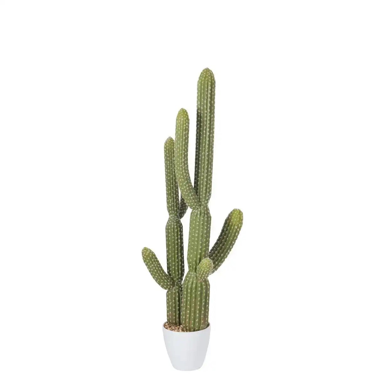 J-Line Kaktus+Topf, Kunststoff, Grün/Melamin, Weiß, groß - HomeDesign Knaus